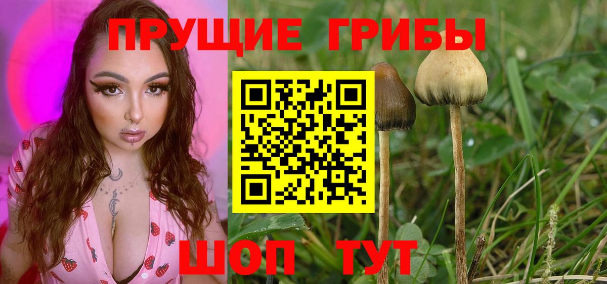 Псилоцибиновые грибы Magic Shrooms  Вход с VPN  Сыктывкар 